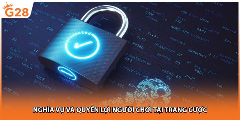 Nghĩa vụ và quyền lợi người chơi tại trang cược